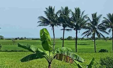 tanah luas subur satu blok