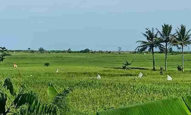 tanah luas subur satu blok
