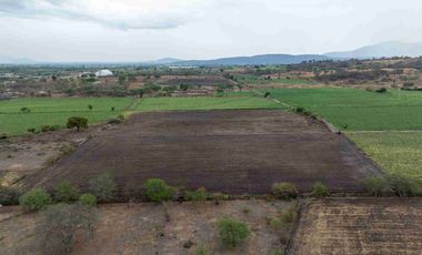 Fraccionamiento Los Mezquites