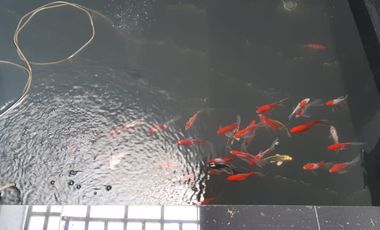 RUMAH MINIMALIS MODERN 2 LANTAI NYAMAN STRATEGIS SIAP HUNI DI TAMAN KOPO INDAH 3 TKI3 BANDUNG