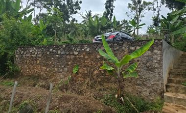 Dijual Kebun Durian Luas 4.100 m2 Cipatat Kabupaten Bandung