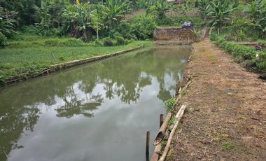 Dijual Kebun Durian Luas 4.100 m2 Cipatat Kabupaten Bandung