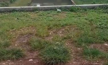 Dijual Kebun Durian Luas 4.100 m2 Cipatat Kabupaten Bandung