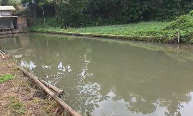 Dijual Kebun Durian Luas 4.100 m2 Cipatat Kabupaten Bandung