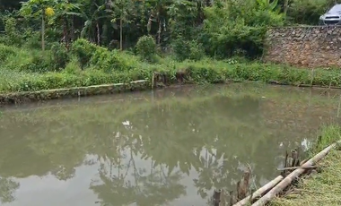 Dijual Kebun Durian Luas 4.100 m2 Cipatat Kabupaten Bandung