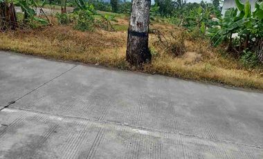 tanah pusat ekonomi Kesesi jalan raya