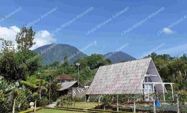 FOR SALE Eco Boutique Hotel Ricefield & Mountain View di Baturiti Bedugul – Freehold