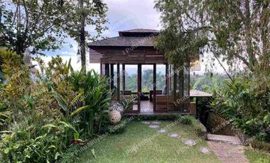 FOR SALE Eco Boutique Hotel Ricefield & Mountain View di Baturiti Bedugul – Freehold