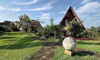 FOR SALE Eco Boutique Hotel Ricefield & Mountain View di Baturiti Bedugul – Freehold