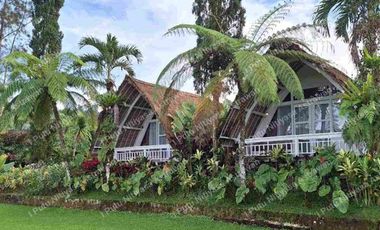 FOR SALE Eco Boutique Hotel Ricefield & Mountain View di Baturiti Bedugul – Freehold