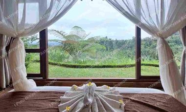 FOR SALE Eco Boutique Hotel Ricefield & Mountain View di Baturiti Bedugul – Freehold