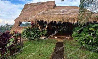 FOR SALE Eco Boutique Hotel Ricefield & Mountain View di Baturiti Bedugul – Freehold