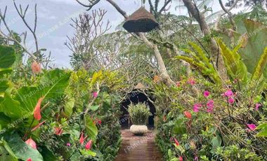 FOR SALE Eco Boutique Hotel Ricefield & Mountain View di Baturiti Bedugul – Freehold