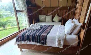 FOR SALE Eco Boutique Hotel Ricefield & Mountain View di Baturiti Bedugul – Freehold