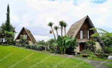 FOR SALE Eco Boutique Hotel Ricefield & Mountain View di Baturiti Bedugul – Freehold