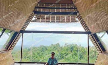 FOR SALE Eco Boutique Hotel Ricefield & Mountain View di Baturiti Bedugul – Freehold