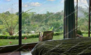 FOR SALE Eco Boutique Hotel Ricefield & Mountain View di Baturiti Bedugul – Freehold