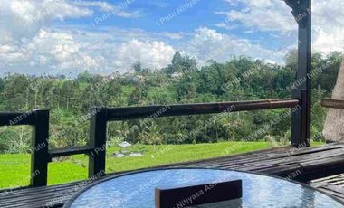 FOR SALE Eco Boutique Hotel Ricefield & Mountain View di Baturiti Bedugul – Freehold