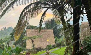 FOR SALE Eco Boutique Hotel Ricefield & Mountain View di Baturiti Bedugul – Freehold