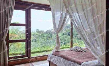 FOR SALE Eco Boutique Hotel Ricefield & Mountain View di Baturiti Bedugul – Freehold