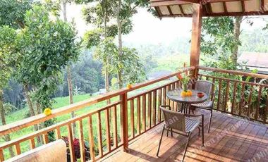 FOR SALE Eco Boutique Hotel Ricefield & Mountain View di Baturiti Bedugul – Freehold