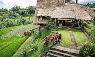 FOR SALE Eco Boutique Hotel Ricefield & Mountain View di Baturiti Bedugul – Freehold
