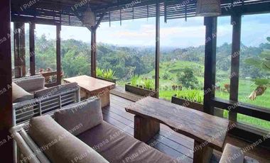 FOR SALE Eco Boutique Hotel Ricefield & Mountain View di Baturiti Bedugul – Freehold
