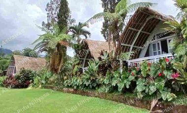 FOR SALE Eco Boutique Hotel Ricefield & Mountain View di Baturiti Bedugul – Freehold