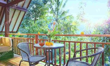 FOR SALE Eco Boutique Hotel Ricefield & Mountain View di Baturiti Bedugul – Freehold