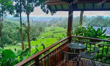 FOR SALE Eco Boutique Hotel Ricefield & Mountain View di Baturiti Bedugul – Freehold