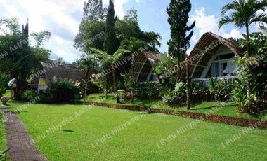 FOR SALE Eco Boutique Hotel Ricefield & Mountain View di Baturiti Bedugul – Freehold