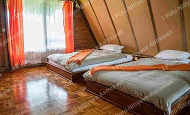 FOR SALE Eco Boutique Hotel Ricefield & Mountain View di Baturiti Bedugul – Freehold