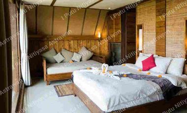 FOR SALE Eco Boutique Hotel Ricefield & Mountain View di Baturiti Bedugul – Freehold