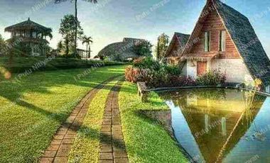 FOR SALE Eco Boutique Hotel Ricefield & Mountain View di Baturiti Bedugul – Freehold