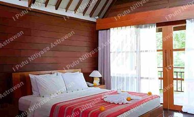 FOR SALE Eco Boutique Hotel Ricefield & Mountain View di Baturiti Bedugul – Freehold