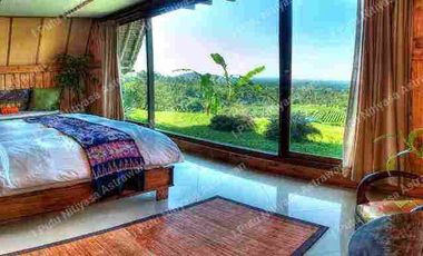 FOR SALE Eco Boutique Hotel Ricefield & Mountain View di Baturiti Bedugul – Freehold
