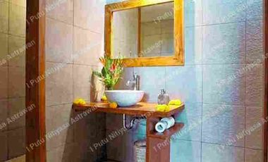 FOR SALE Eco Boutique Hotel Ricefield & Mountain View di Baturiti Bedugul – Freehold