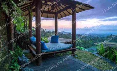 FOR SALE Eco Boutique Hotel Ricefield & Mountain View di Baturiti Bedugul – Freehold