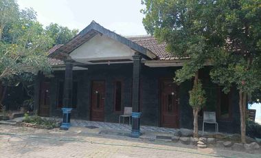 lelang tanah dan bangunan komesial raya dendles paciran lamomgan