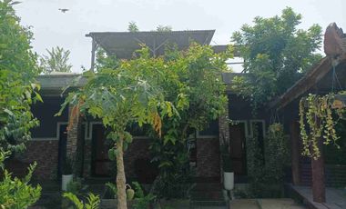 lelang tanah dan bangunan komesial raya dendles paciran lamomgan