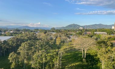 ARRIENDO APARTAMENTO EN CERRITOS