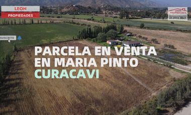 Leon Propiedades vende parcela de 1 ha plana, con rol propio, agrícola, en Maria Pinto.