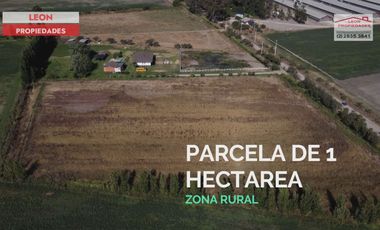 Leon Propiedades vende parcela de 1 ha plana, con rol propio, agrícola, en Maria Pinto.