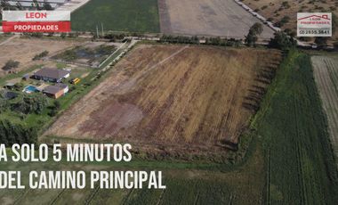 Leon Propiedades vende parcela de 1 ha plana, con rol propio, agrícola, en Maria Pinto.