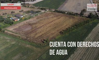 Leon Propiedades vende parcela de 1 ha plana, con rol propio, agrícola, en Maria Pinto.