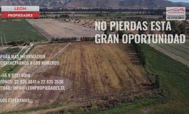 Leon Propiedades vende parcela de 1 ha plana, con rol propio, agrícola, en Maria Pinto.