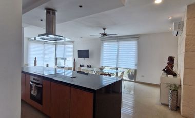 Luxury PH for Rent in Playa del Carmen: Modern Design & Prime Location