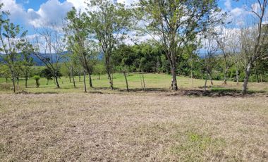 EN VENTA LOTES DE TODOS LOS TAMAÑOS Y PRECIOS EN ALCALA,VALLE