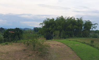 EN VENTA LOTES DE TODOS LOS TAMAÑOS Y PRECIOS EN ALCALA,VALLE
