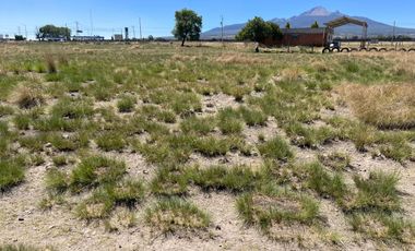 EXCELENTE TERRENO EN VENTA CARRETERA APIZACO-HUAMANTLA, TLAX.